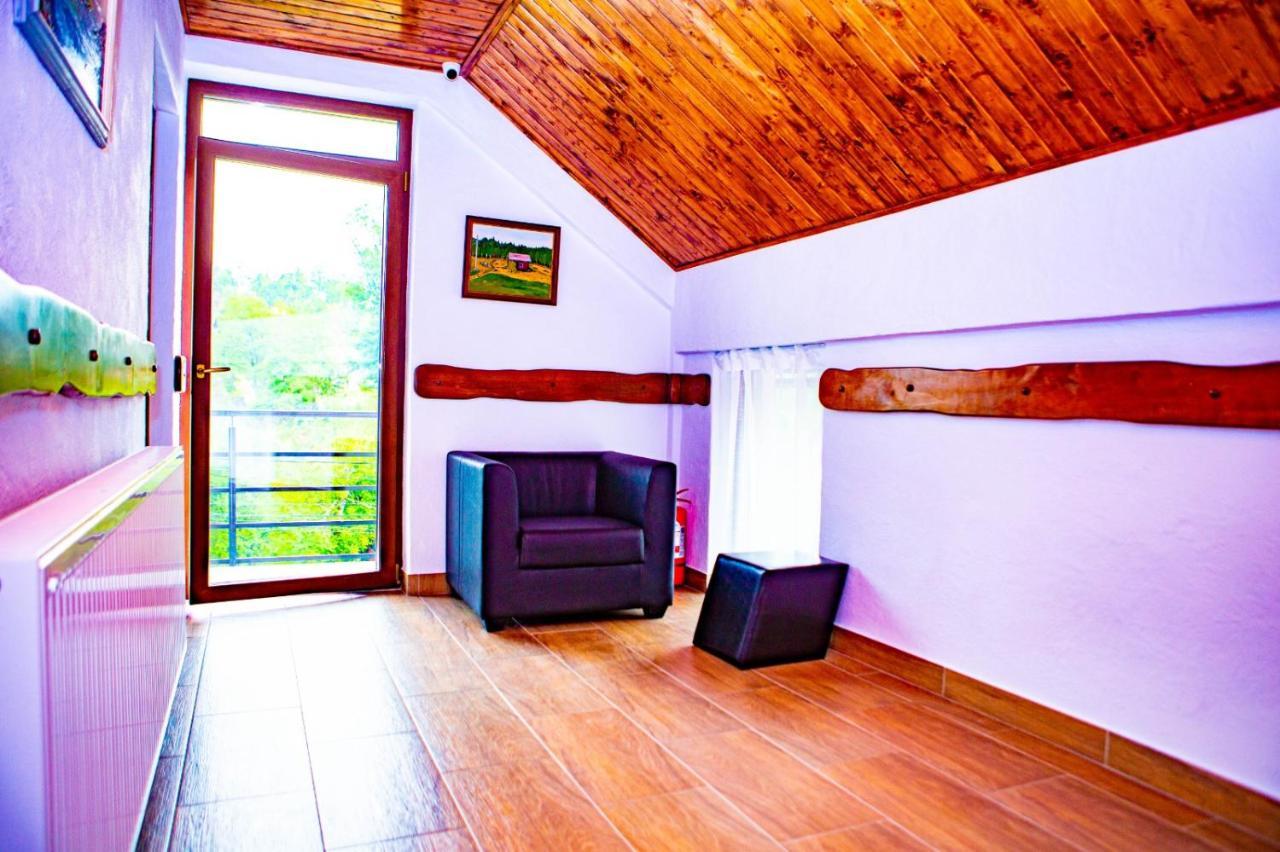 Vila Swe Sar Hotel Curtea De Arges Exterior photo