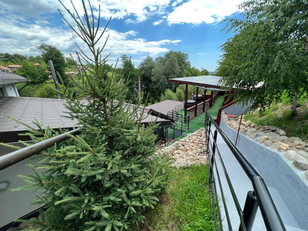 Vila Swe Sar Hotel Curtea De Arges Exterior photo